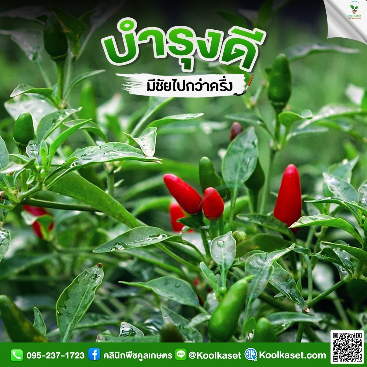 LINE_ALBUM_รูปบำรุง_๒๒๑๐๒๗_2