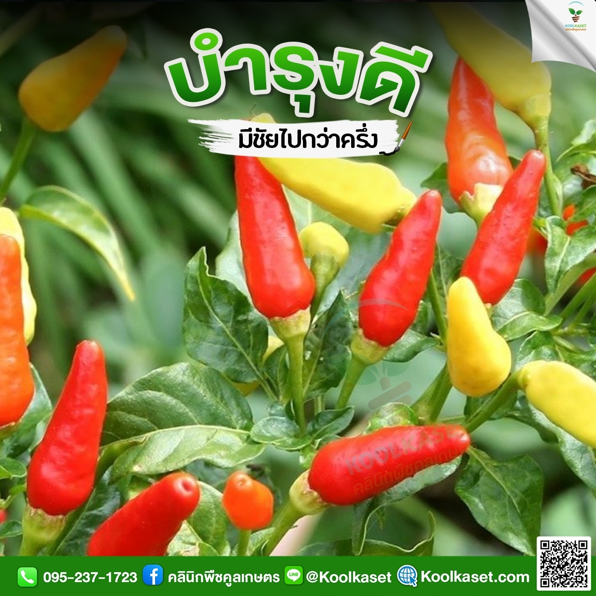 LINE_ALBUM_รูปบำรุง_๒๒๑๐๒๗_3