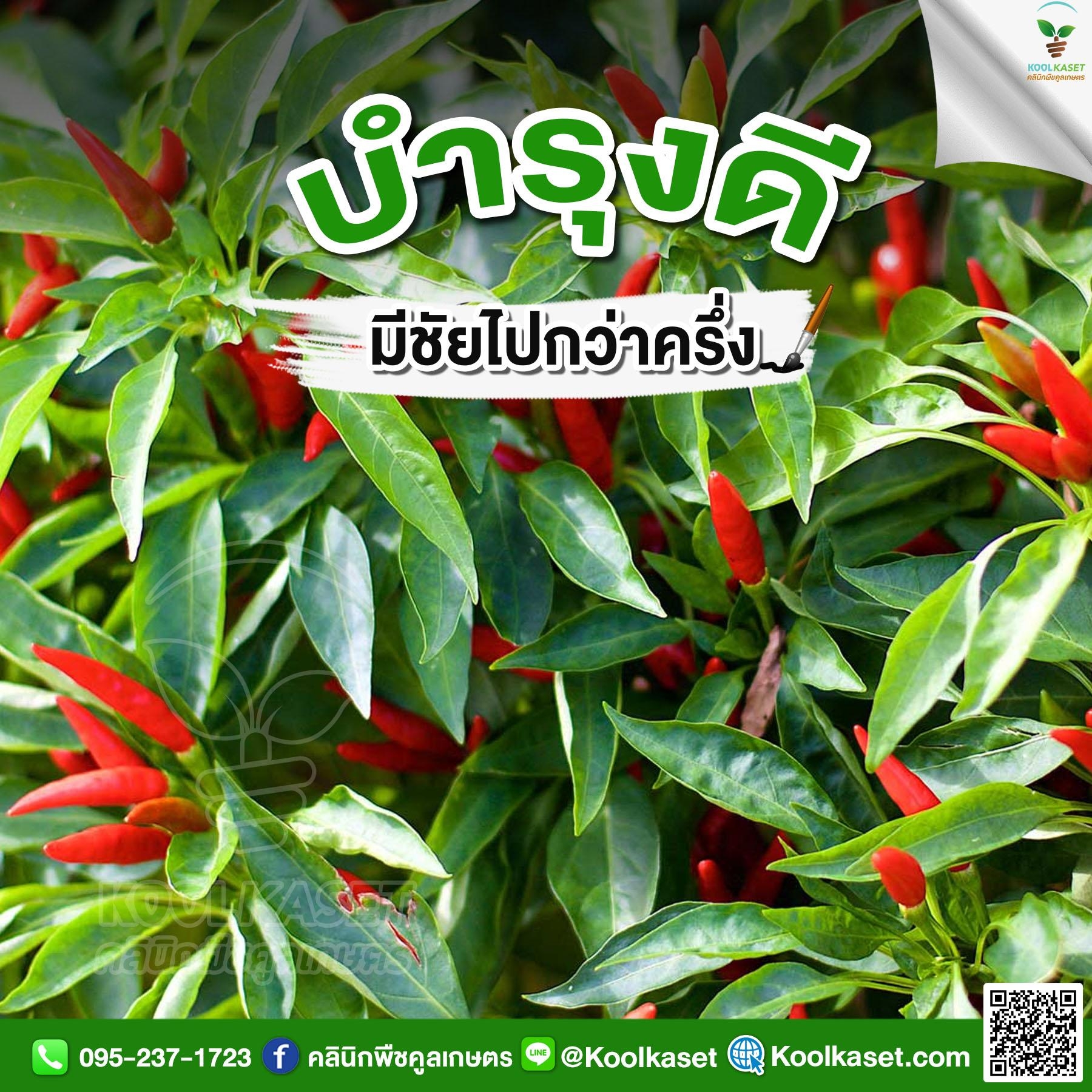 LINE_ALBUM_รูปบำรุง_๒๒๑๐๒๗_4