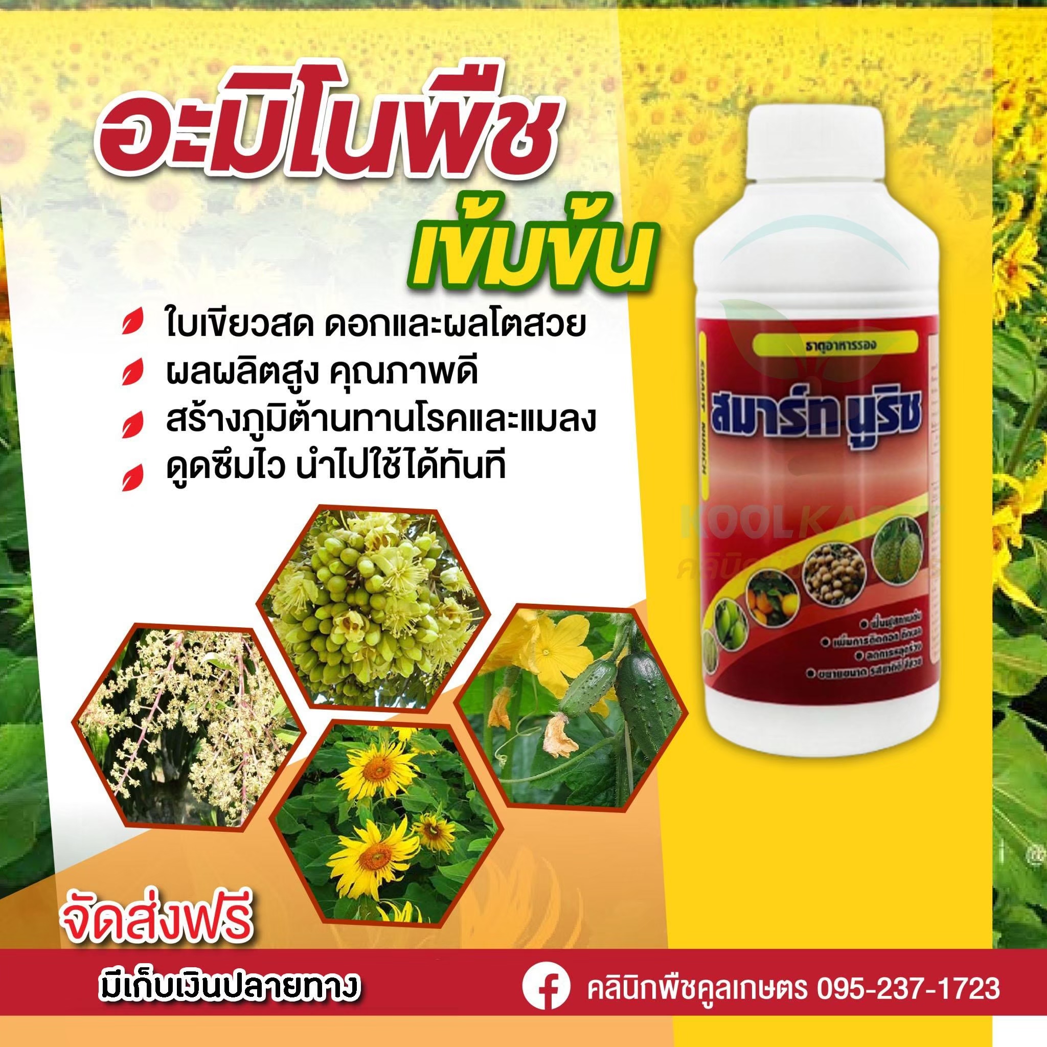 LINE_ALBUM_รูปบำรุงเดี่ยว_250927_1