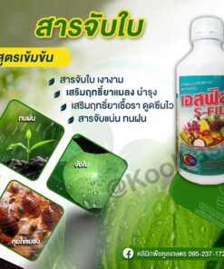 สารจับใบ เอสฟิล์ม SC เสริมฤทธิ์ยาแมลง บำรุง เชื้อรา ดูดซึมไว สารจับแน่น ทนฝน คลินิกพืชคูลเกษตร