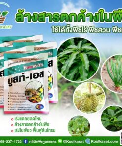 ยกลังสุดคุ้ม บำรุง บูสท์เอส ฟื้นต้นโทรม เร่งการแตกยอดใหม่ ใบใหญ่เขียวเข้ม เพิ่มราก คลินิกพืชคูลเกษตร