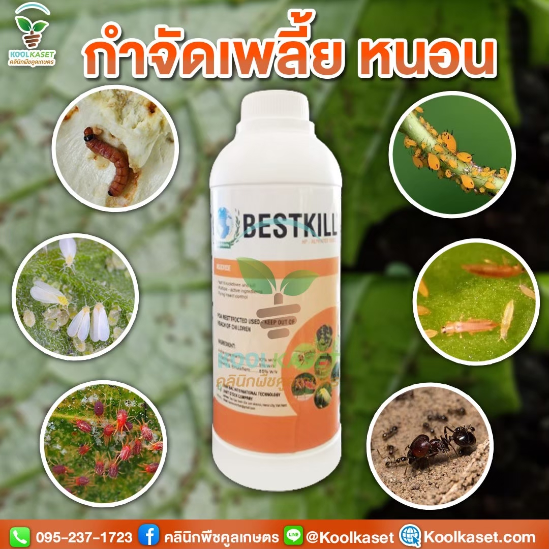 LINE_ALBUM_ศัตรูพืช สินค้าเดี่ยว_251017_1