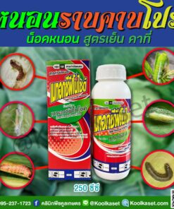 กำจัดหนอน เมทอกซีฟีโนไซด์ หนอนกระทู้ ม้วนใบ ชอนใย หนอนเจาะ คลินิกพืชคูลเกษตร