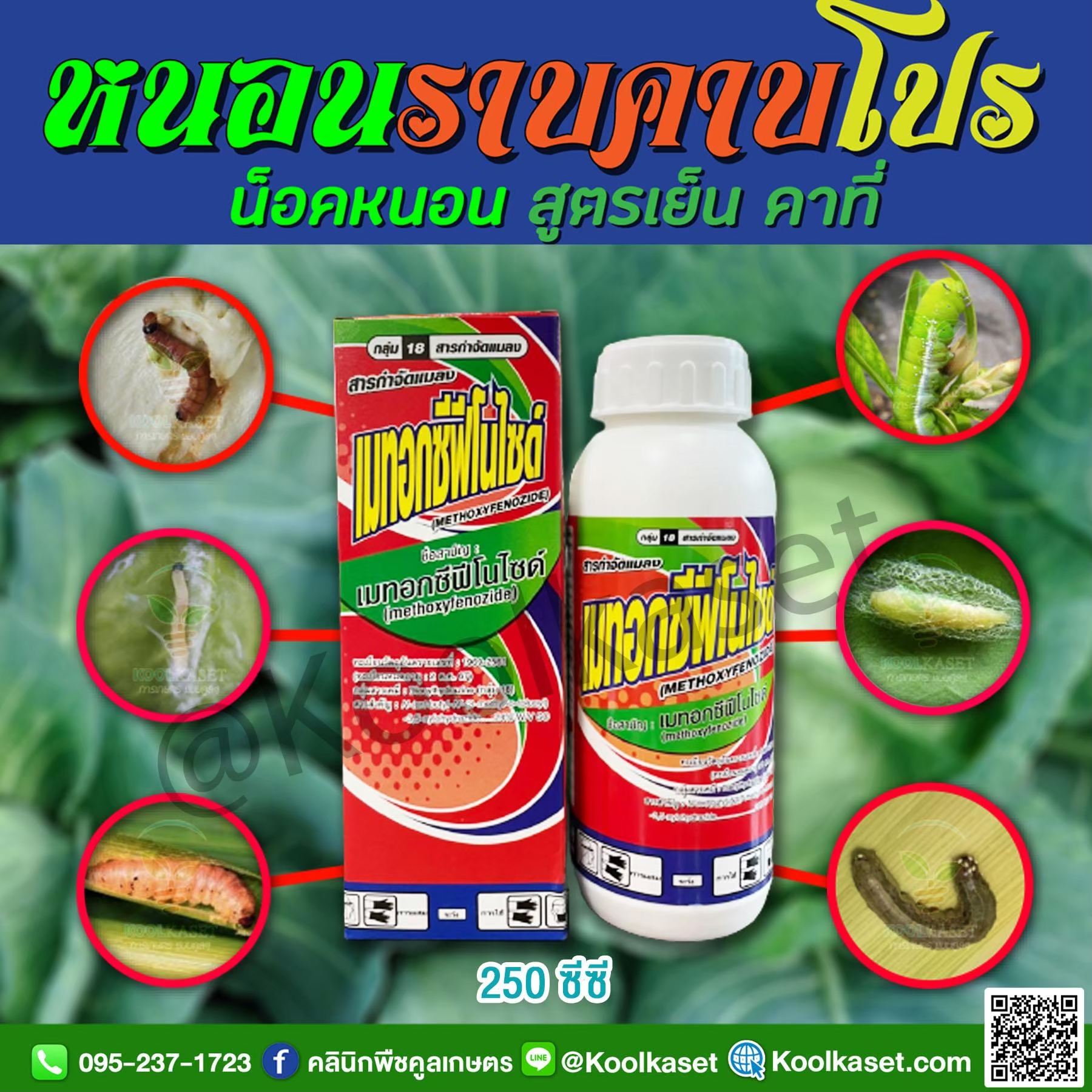 LINE_ALBUM_ศัตรูพืช สินค้าเดี่ยว_251017_2
