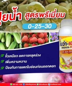 โนว่าเอส ปุ๋ยน้ำ สูตรเร่งผล 0-25-30 ป้องกันการแตกใบอ่อน เพิ่มการออกดอก เพิ่มความหวาน คลินิกพืชคูลเกษตร