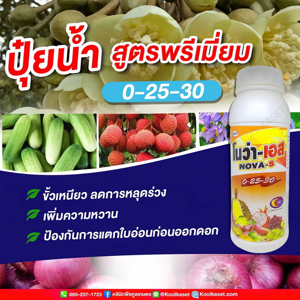 th-11134207-7r98z-lyan2u5wa9a9b4