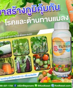 วัคซีนพืช ซิลิซ่า สร้างภูมิคุ้มกัน โรคพืช ต้านทานแมลง คลินิกพืชคูลเกษตร