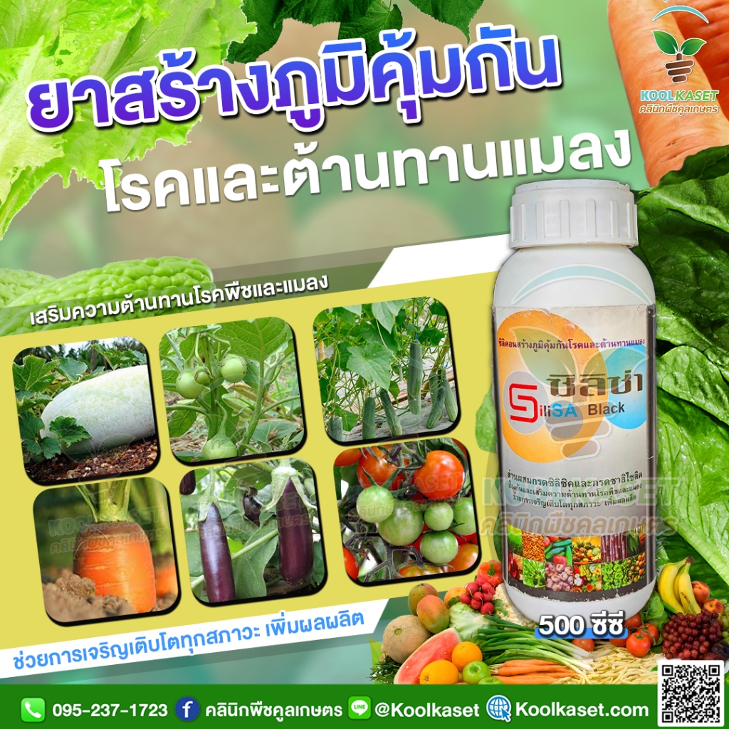 th-11134207-7rasj-m7lzhqby3umv57