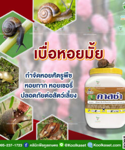 ศัตรูพืช คาสซ่า ใช้ป้องกันกำจัดหอย ในนาข้าว หอยเชอร์รี่ คลินิกพืชคูลเกษตร