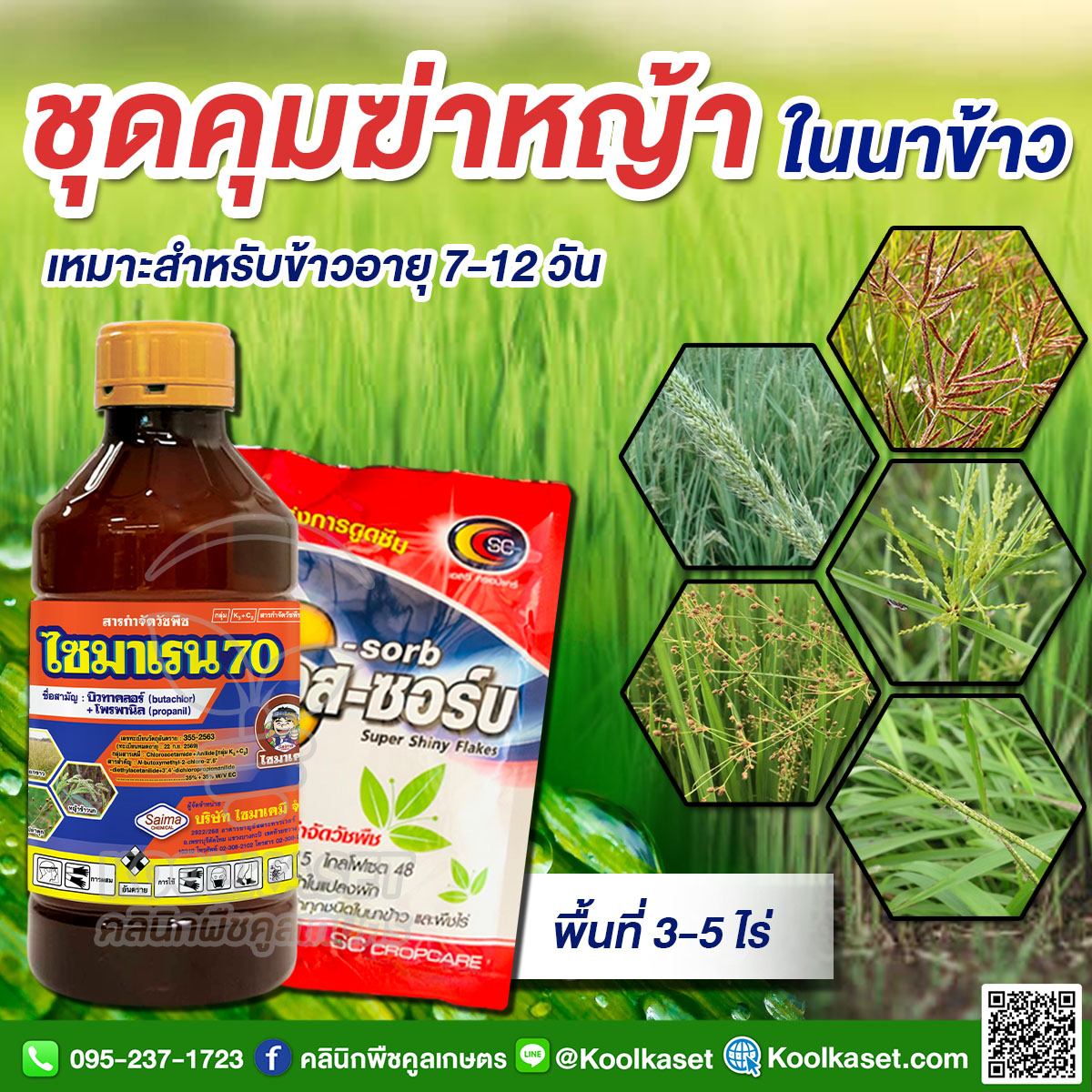 คุมฆ่า