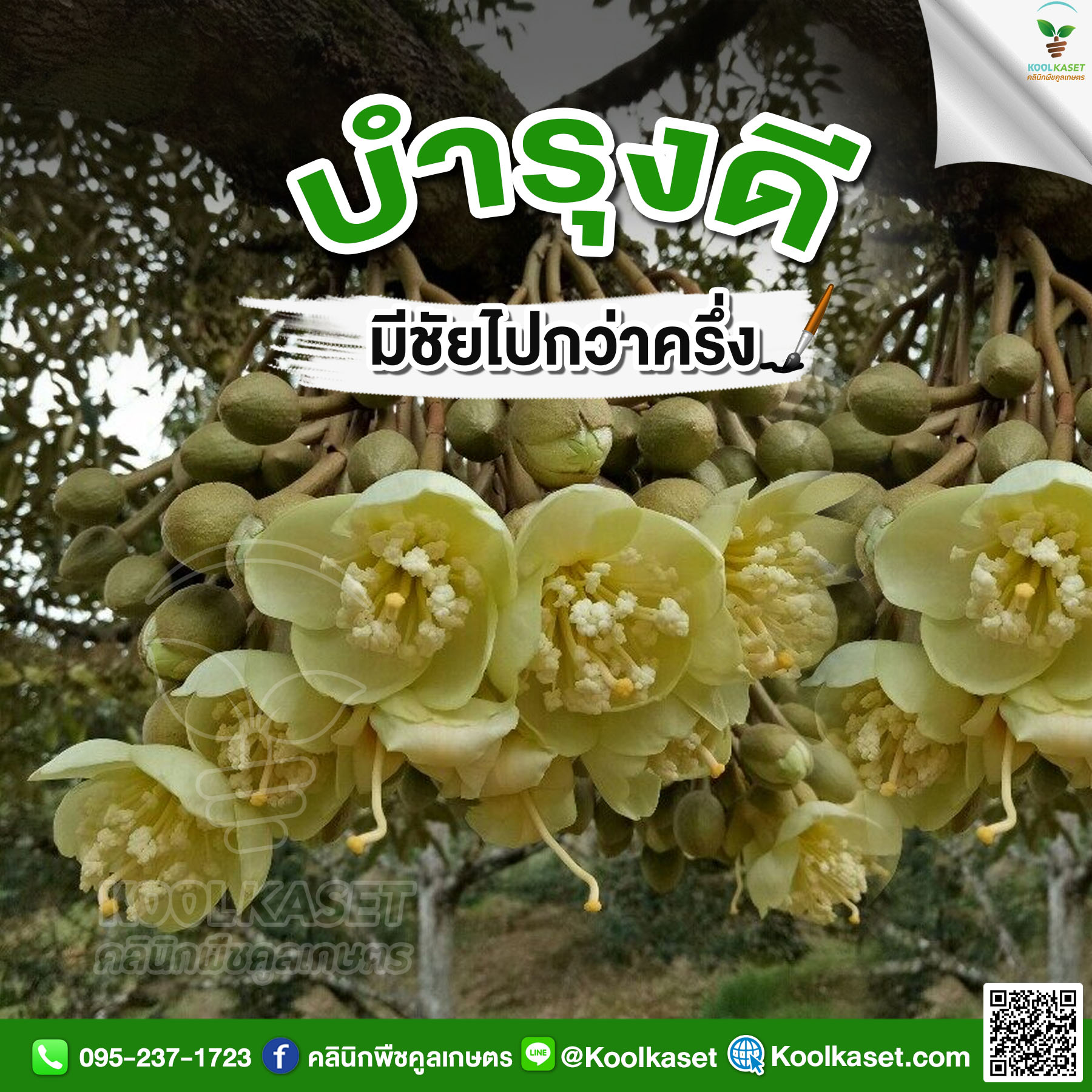 ทุเรียน