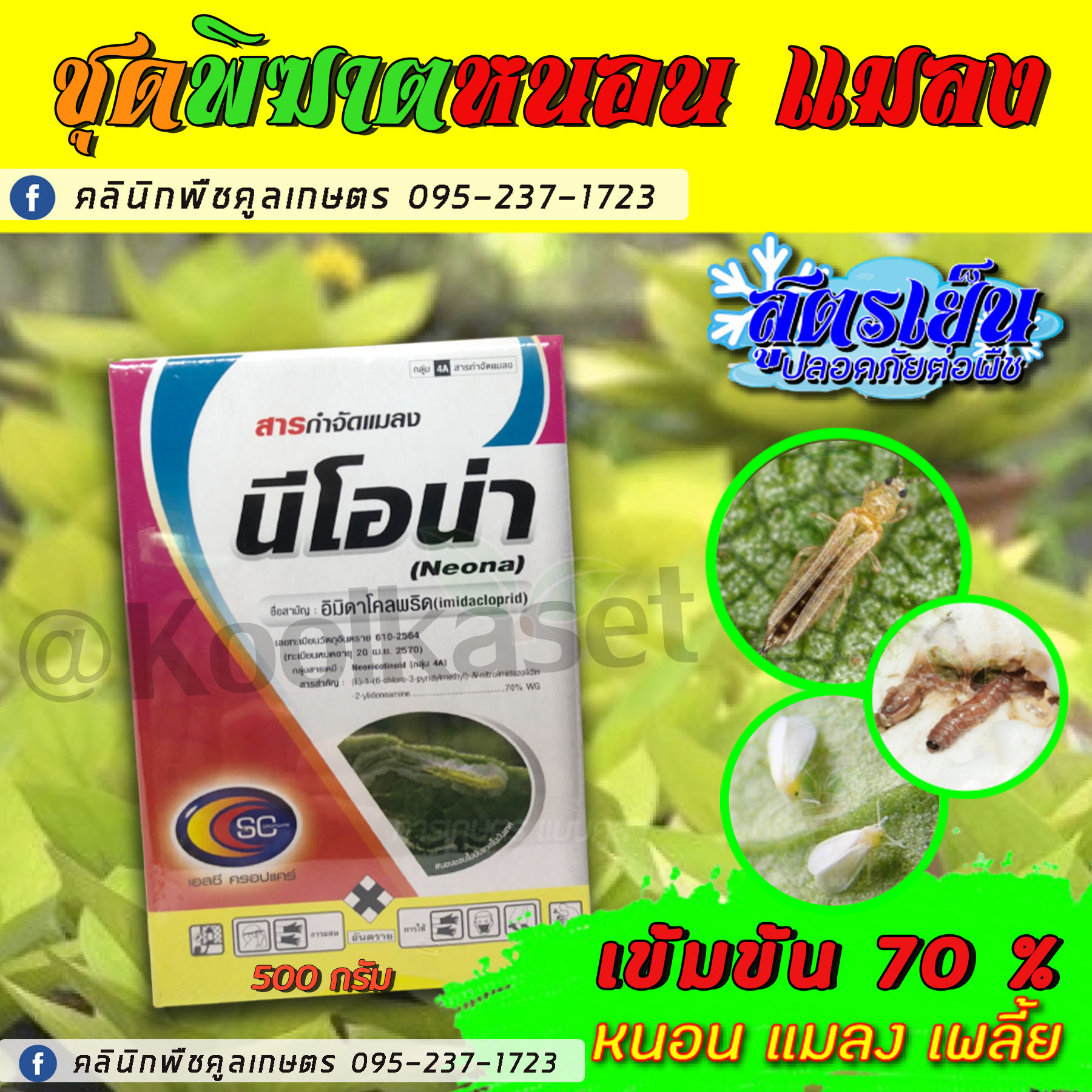 นีโอน่า_0