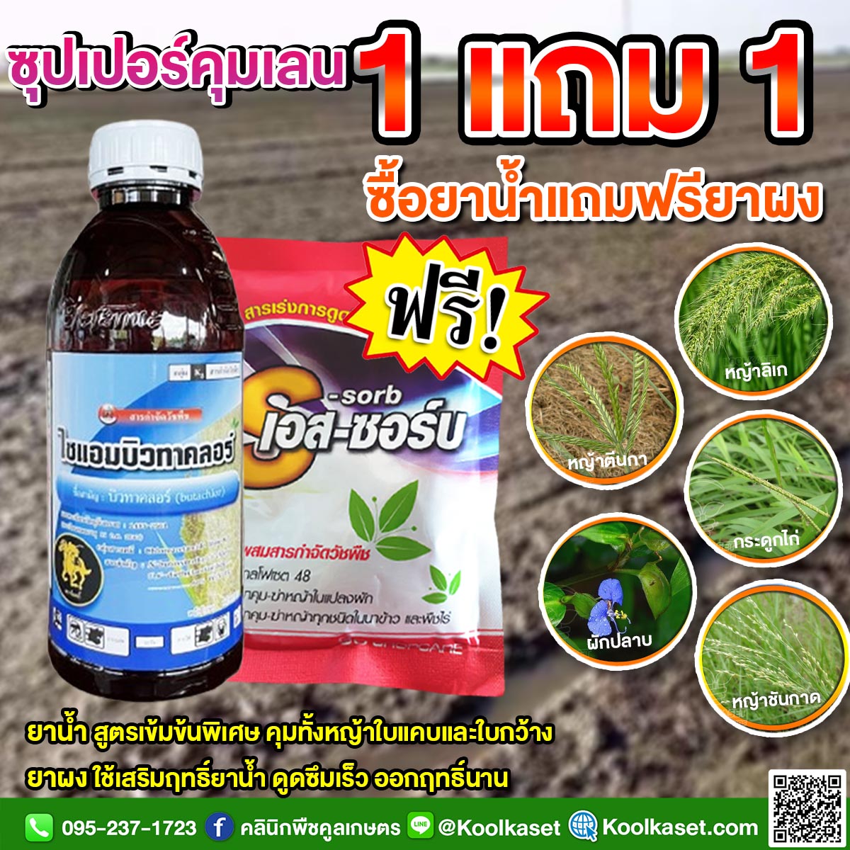 บิวทาคลอ