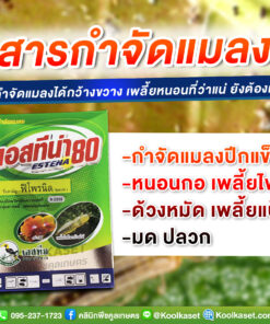 กำจัดแมลง ฟิโพรนิล 80% เอสทีน่าเพลี้ยไฟ เพลี้ยอ่อน หนอนม้วนใบ หนอนกอ ด้วงหมัดผัก คลินิกพืชคูลเกษตร