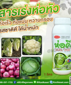 บำรุง ห่อดี สารเสริมให้ห่อเร็วขึ้น ห่อแน่น หวานกรอบ รสชาติดี มีคุณภาพ ได้น้ำหนัก คลินิกพืชคูลเกษตร