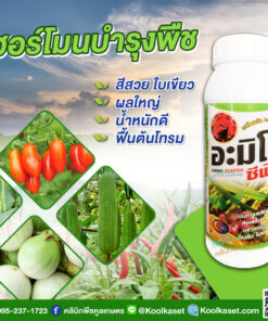 อะมิโนซีฟิช อะมิโนพืช สูตรเข้มข้น สาหร่ายธรรมชาติ บำรุงพืช ใบเขียว ต้นสมูรณ์แข็งแรง คลินิกพืชคูลเกษตร