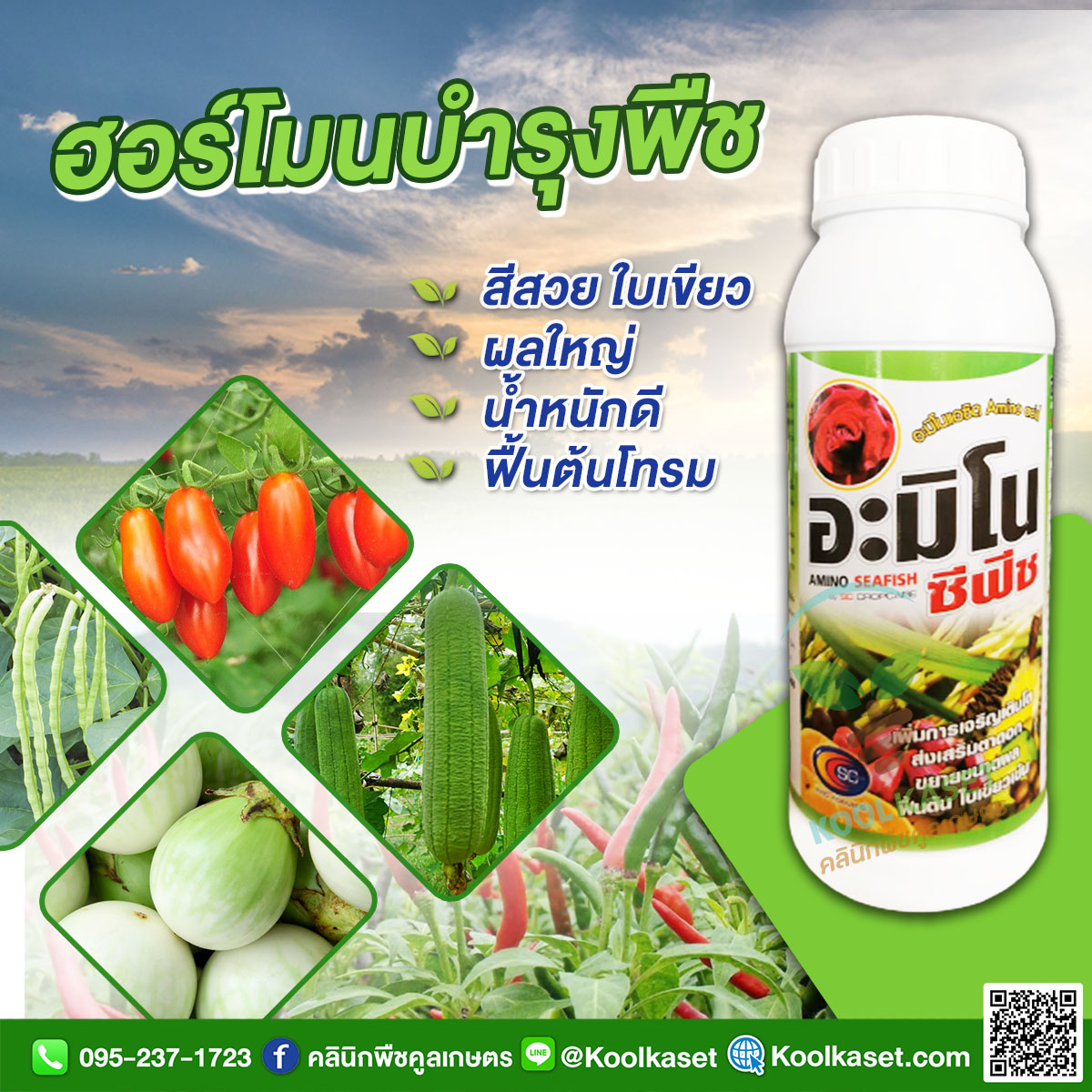 อะมิโนสวน copy