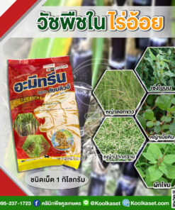 กำจัดวัชพืช อะมีทรีน80% WP (เม็ด) ในอ้อย หญ้าเซ่งใบมน ดอกขาว เบี้ยหิน คลินิกพืชคูลเกษตร