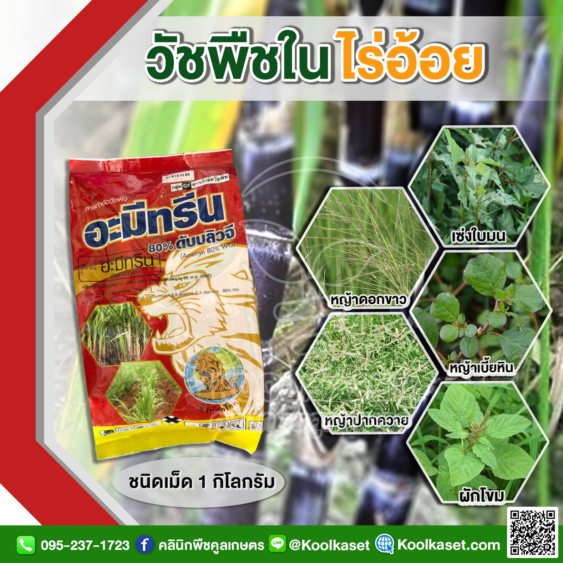 อะมีทรีนเม็ด