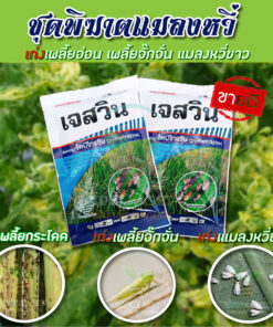 เจสวิน ไพมีโทรซีน  ตัวเก่ง ป้องกัน เพลี้ยกระโดด แมลงหวี่ขาว นาข้าว พืชผักสวนครัว คลินิกคูลเกษตร