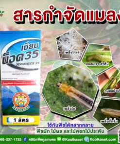 เซียนน้อค ไซเปอร์ ไซเพอร์เมทริน 35 สูตรน็อค น็อคเพลี้ย หนอน ออกฤทธิ์สั้น ร่วงทันที คลินิกพืชคูลเกษตร