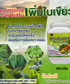 บำรุง เทรสเอสพี  ใบหนา ใบเขียวเข้ม เร่งใบอ่อน ให้แก่เร็ว สูตรเข้มข้น คลินิกพืชคูลเกษตร