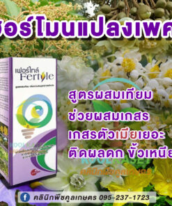 ฮอร์โมน แปลงเพศ เฟอร์ไทล์ กระตุ้นการผสมเกสร ติดผล ติดดอก ดอกตัวเมียเยอะ พริก แตง คลินิกพืชคูลเกษตร