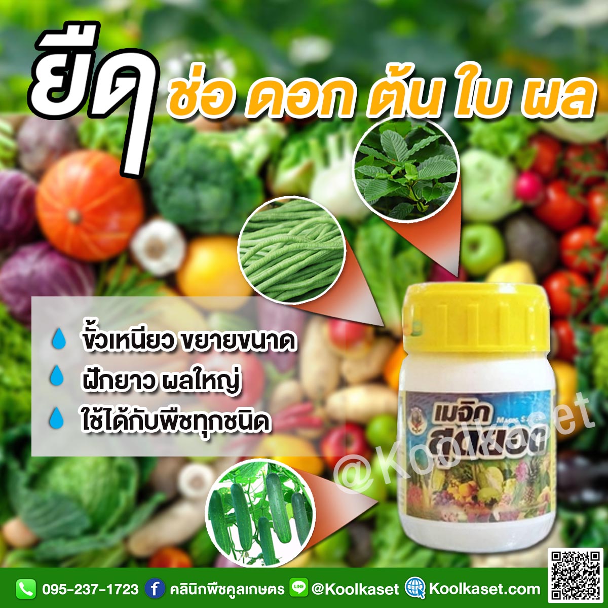 เมจิก 100 cc(1)