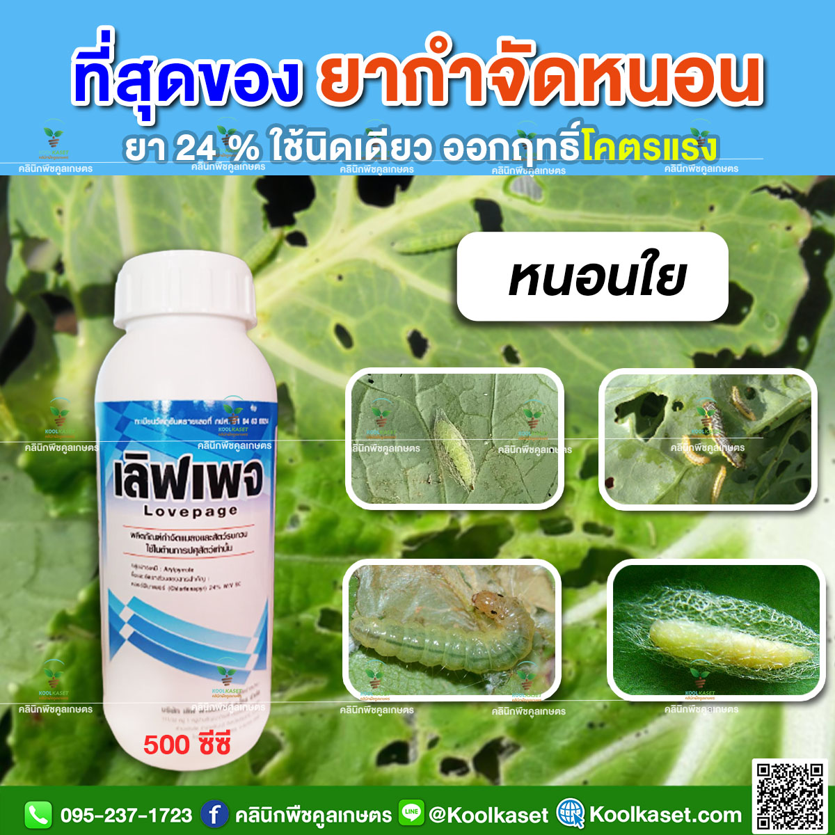 เลิฟเพจใหม่