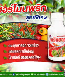ฮอร์โมนพริก พริกฮอท อาหารเสริม บำรุงพืช พริก ช่วยสะสมอาหาร ติดดอกดี ติดผลง่าย ผลดก คลินิกพืชคูลเกษตร