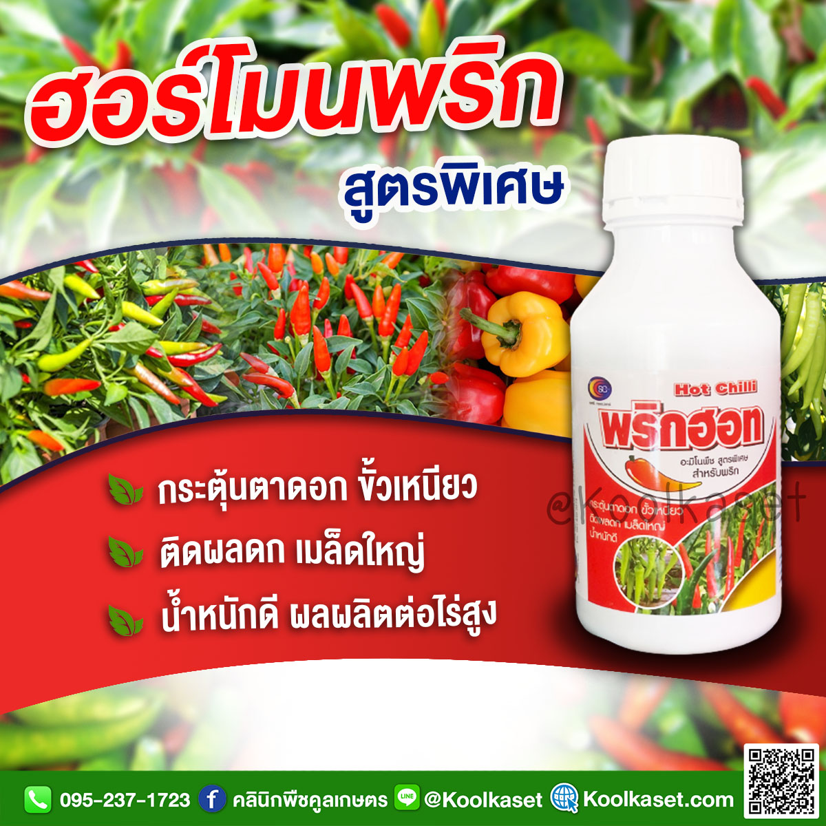 เล็ก 250 ใหญ่ 390