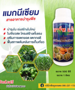 บำรุง สมาร์ทแม็ก แตกกอดี แตกยอดใหม่ ฟื้นสภาพต้น ช่วยในการเจริญเติบโตได้เร็วขึ้น คลินิกพืชคูลเกษตร