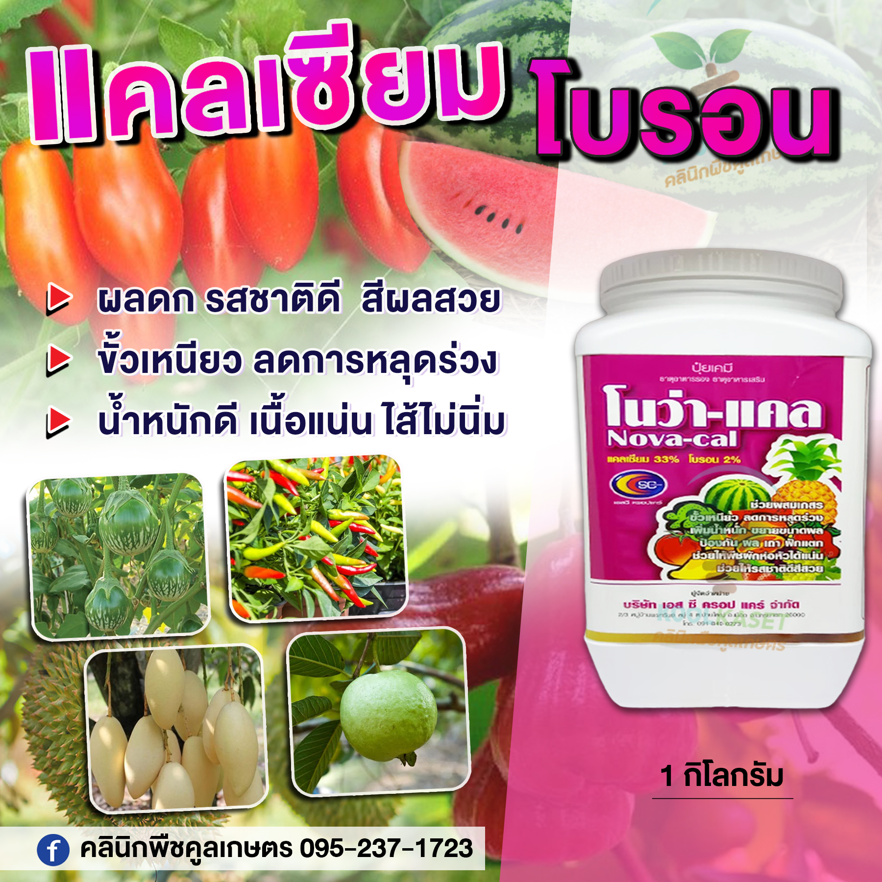 โนว่าแคล