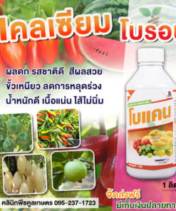 โบแคน แคลเซียมโบรอน สูตรเข้มข้น น้ำหนักเต็ม ขั้วเหนียว ลูกดก ติดผลดี ไม่หลุดง่าย คลินิกพืชคูลเกษตร