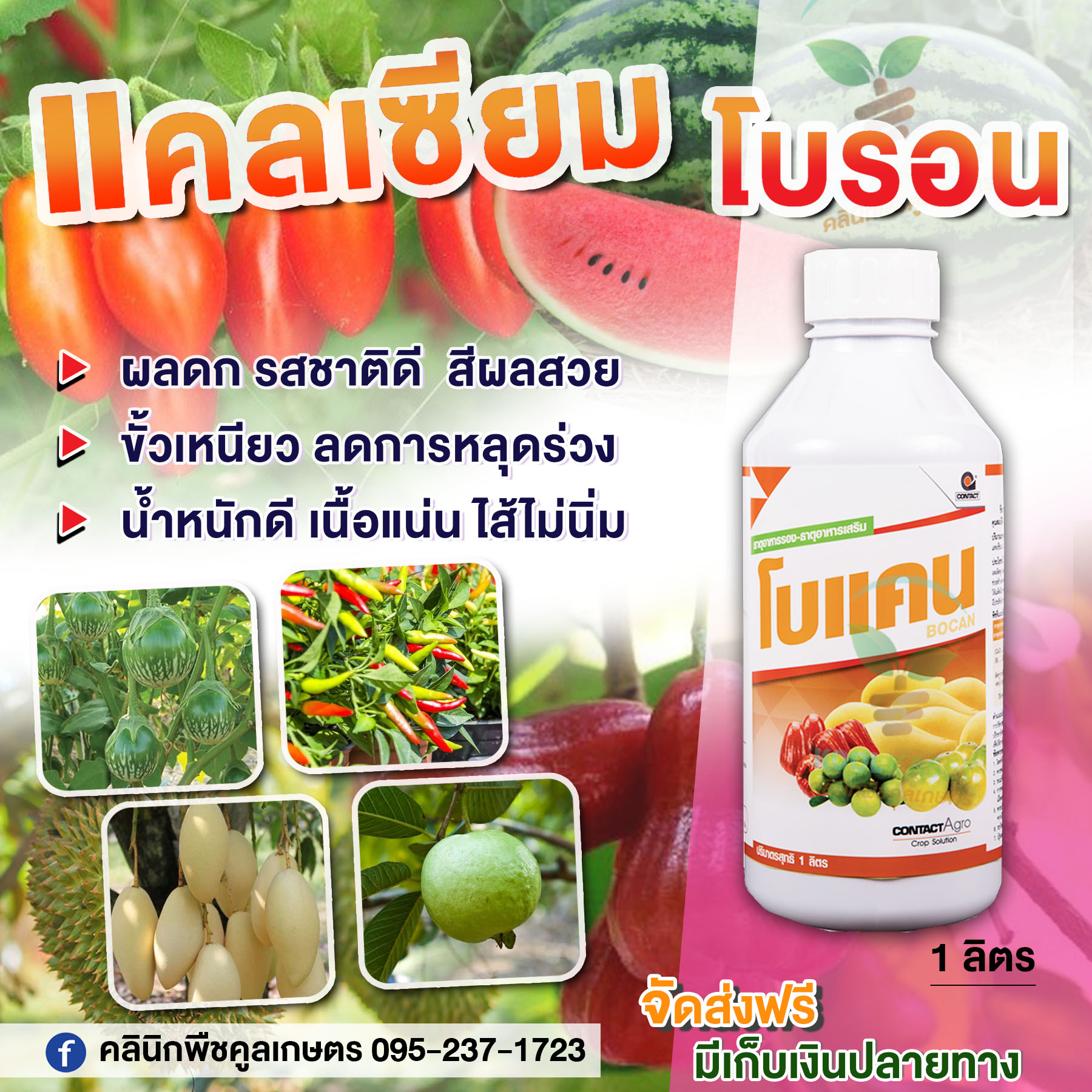 โบแคน 1 ลิตร