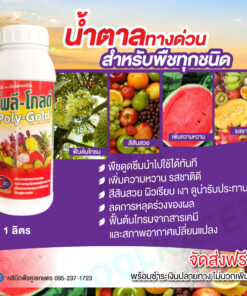 บำรุง โพลี-โกลด์ ลดการหลุดล่วงของผล น้ำหนักดี สีสันสวย หัวแน่น ขยายผล คลีนิกพืชคูลเกษตร