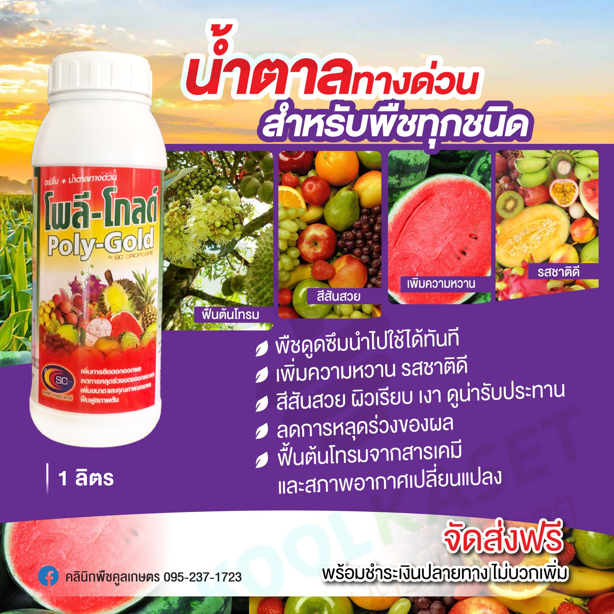โพลีโกลด์