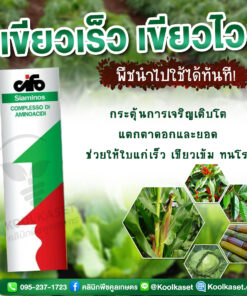 บำรุง ไซแอมมิโนส ติดผลได้มากขึ้น เร่งผลโตเร็ว เพิ่มการลงหัว เร่งใบเขียว แตกยอดดี ต้นแข็งแรง คลินิกพืชคูลเกษตร