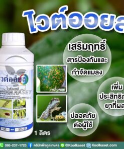 ไวต์ออยล์ กำจัด เพลี้ยไฟ ไรแดง เพลี้ยไก่แจ้ คลินิกพืชคูลเกษตร