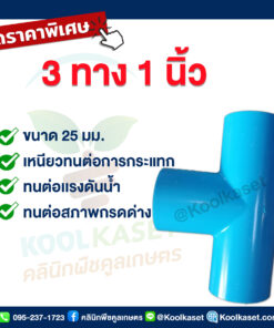 ข้อต่อ PVC 3 ทาง 1 นิ้ว คลินิกพืชคูลเกษตร