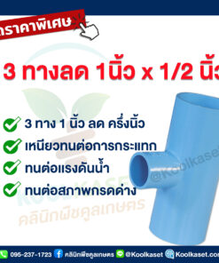 ข้อต่อ PVC 3 ทาง 1 นิ้ว ลดขนาดครึ่งนิ้ว คลินิกพืชคูลเกษตร