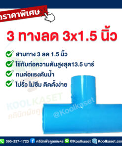 ข้อต่อ PVC 3 ทาง 3 นิ้ว ลดขนาด 1.5 นิ้ว คลินิกพืชคูลเกษตร