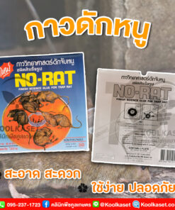 กาวดักหนู NO-RAT สำเร็จรูป เหนียวพิเศษ คลินิกพืชคูลเกษตร