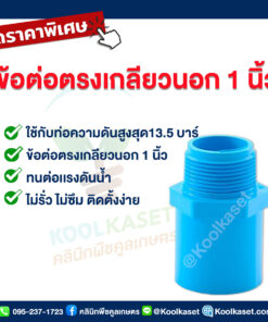 ท่อต่อตรง PVC แบบเกลียวนอก 1 นิ้ว คลินิกพืชคูลเกษตร
