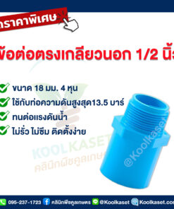 ท่อต่อตรง PVC แบบเกลียวนอก 4 หุน คลินิกพืชคูลเกษตร