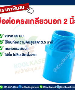 ท่อต่อตรง PVC แบบเกลียวนอก 2 นิ้ว คลินิกพืชคูลเกษตร