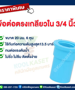 ท่อต่อตรง PVC แบบเกลียวใน 6 หุน คลินิกพืชคูลเกษตร