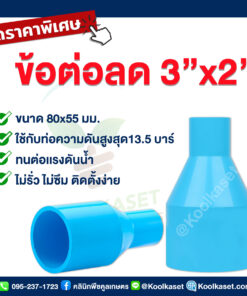 ท่อต่อตรง PVC แบบสวม 3 นิ้ว ลดขนาด 2 นิ้ว คลินิกพืชคูลเกษตร
