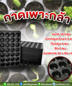 ถาดเพาะกล้า มีรูระบายน้ำ 35 หลุม ขนาดลึก 5 ซม คลินิกพืชคูลเกษตร